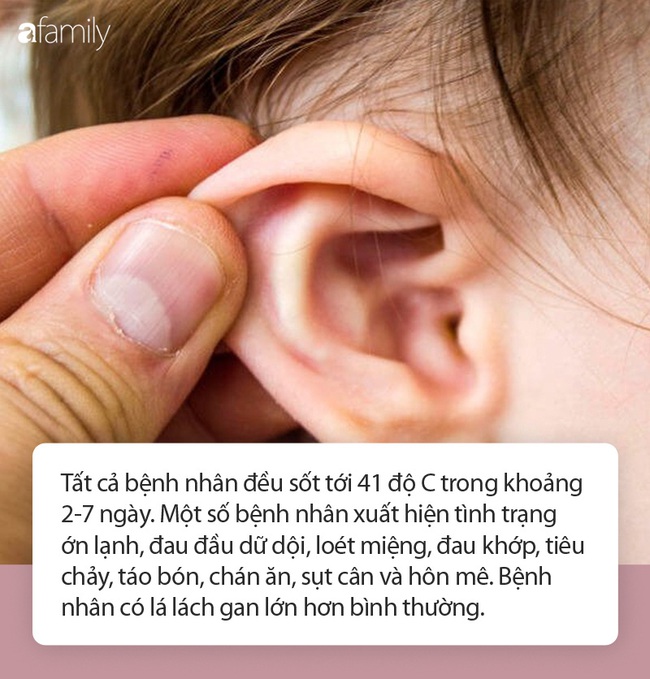 Căn bệnh bí ẩn khiến nhiều gia đình liên tục ốm đau không lời giải thích: Sau 20 năm, các nhà khoa học đã tìm ra câu trả lời gây sốc nặng - Ảnh 3.