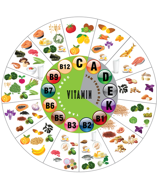 Cẩm nang bỏ túi về vitamin: Những sự thật được hé lộ - Ảnh 1.