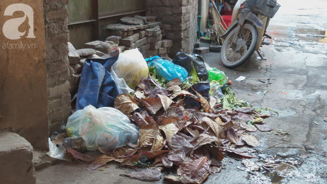 Hà Nội: Người dân khổ sở, tranh cãi nhau vì chỗ để rác bốc mùi, giòi muỗi bủa vây - Ảnh 11.