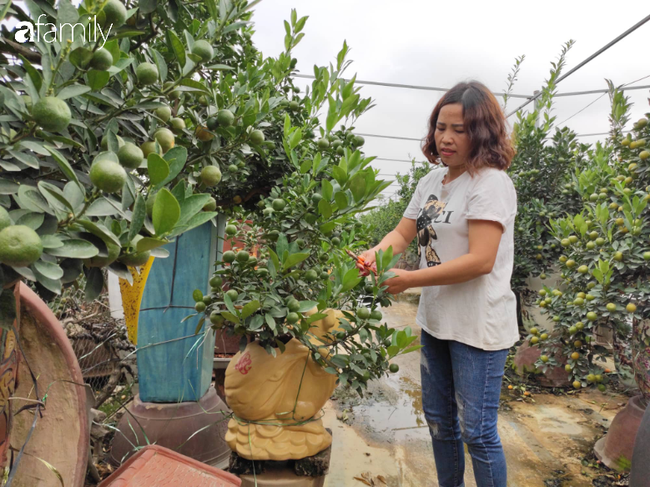 Nhà vườn hốt bạc nhờ những chậu bonsai &quot;chuột cõng quất&quot;  - Ảnh 2.