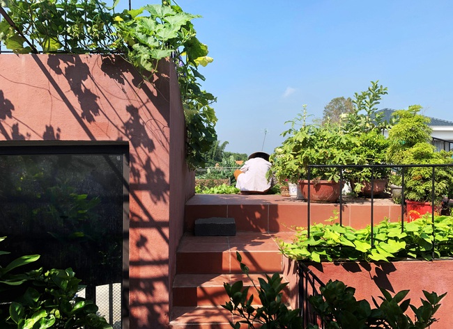 Vườn rau 7 bậc thang xanh tươi trên mái nhà của vợ chồng trung niên được các con xây tặng ở Quảng Ngãi - Ảnh 5. Vườn rau 7 bậc thang xanh tươi trên mái nhà của vợ chồng trung niên được các con xây tặng ở Quảng Ngãi - Ảnh 5.
