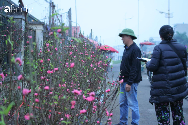 Đào Nhật Tân bung nở khoe sắc từ trong vườn cho đến ngoài chợ, có cành đào bằng tiền một bát phở - Ảnh 1.