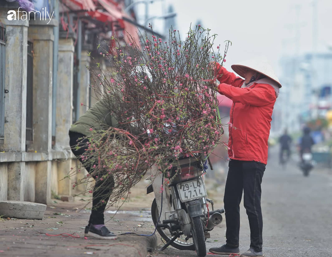 Đào Nhật Tân bung nở khoe sắc từ trong vườn cho đến ngoài chợ, có cành đào bằng tiền một bát phở - Ảnh 7.