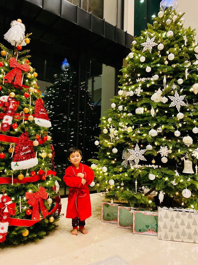 Bé Thiên Từ con trai Đan Trường mệt nhoài vì trang trí tận 5 cây thông Noel, nhìn biệt thự mà tưởng trung tâm thương mại - Ảnh 1.