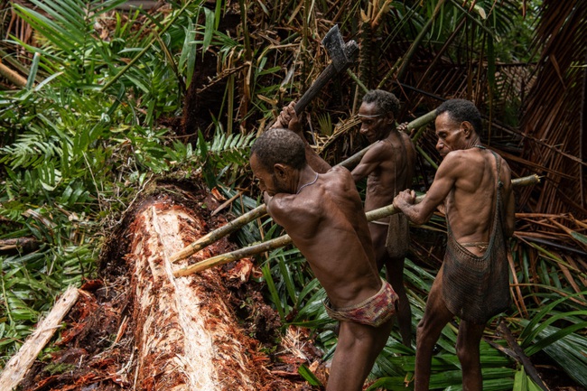 Có một bộ lạc cổ xưa ẩn mình trong rừng rậm, chưa từng tiếp xúc với văn minh nhân loại và vẫn tiến hành nghi lễ ăn thịt người - Ảnh 3.