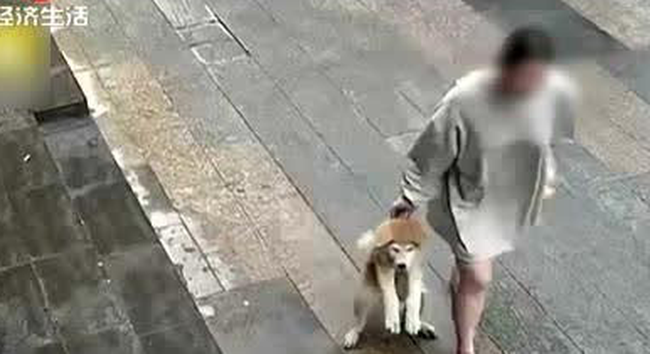 Thấy chó dễ thương, hai cô gái trẻ tháo dây rồi trộm một cách thản nhiên, xem camera giám sát ai cũng phẫn nộ - Ảnh 2.