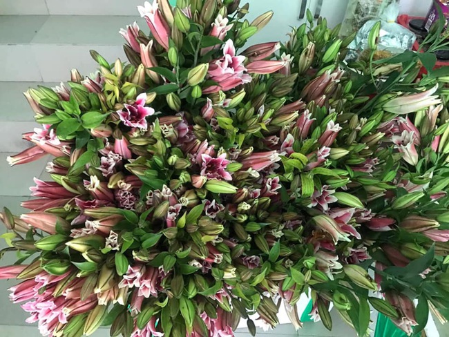 6 KHÔNG khi mua hoa Tết, bà nội trợ Việt phải chú ý để chọn được hoa vừa rẻ đẹp lại lâu tàn - Ảnh 4.