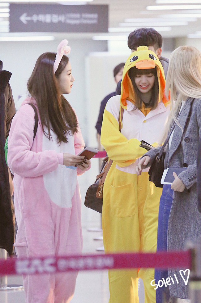 Không biến sân bay thành sàn diễn, Jisoo và Lisa vẫn chiếm trọn spotlight với màn cosplay thỏ - vịt &quot;cute vô đối&quot; - Ảnh 2.