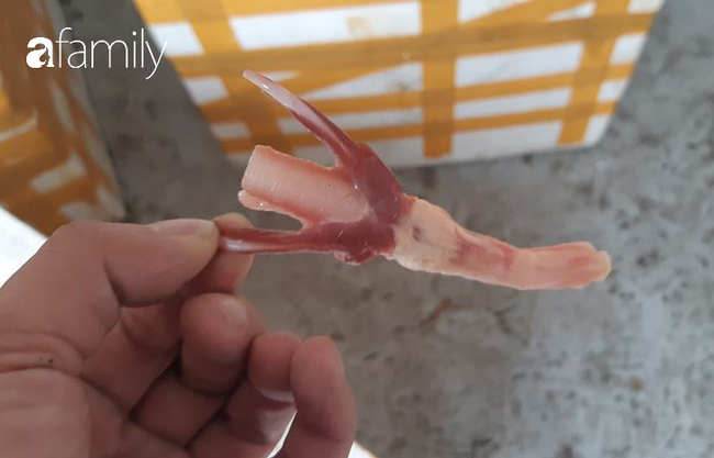 Bất ngờ phát hiện 2 container trong sân siêu thị MM Mega Market chứa đầy đồ đông lạnh nghi không rõ nguồn gốc - Ảnh 13. Bất ngờ phát hiện 2 container trong sân siêu thị MM Mega Market chứa đầy đồ đông lạnh nghi không rõ nguồn gốc - Ảnh 13.