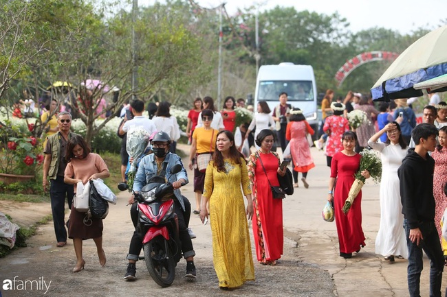 Gần cuối mùa cúc họa mi, hội chị em vẫn mê mệt kéo nhau đi chụp ảnh, sẵn sàng bỏ 100k thuê make up, trang phục tại chỗ - Ảnh 6.