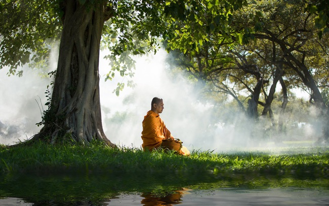 Được hỏi “khi ở một mình, ngài có ăn thịt không?”, lão hòa thượng trả lời một câu khiến hầu hết dân công sở gật gù tấm tắc - Ảnh 3.