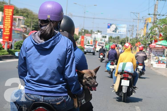 Hàng nghìn người miền Tây đổ lên Sài Gòn chiều tối mùng 6 Tết, mang cả theo gà, chó khiến quốc lộ 1 kẹt cứng - Ảnh 8.