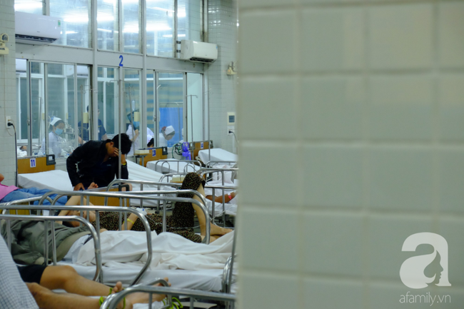 Hơn 2.700 heo vàng được sinh ra, 80 người chết tại bệnh viện ở TP.HCM dịp Tết Nguyên Đán 2019 - Ảnh 2.