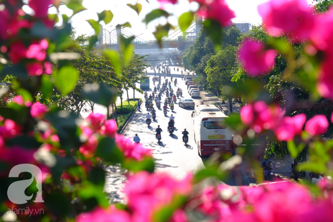 Người Sài Gòn vẫn còn nghỉ Tết trong ngày đi làm đầu tiên của năm Kỷ Hợi 2019, đường sá vắng tanh - Ảnh 16.