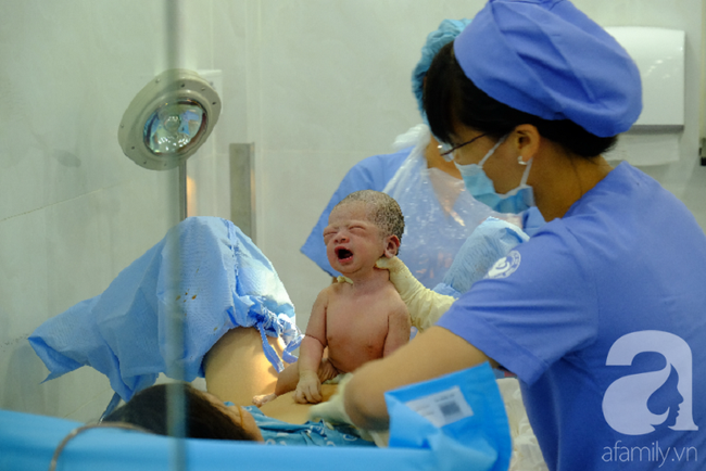 Hơn 2.700 heo vàng được sinh ra, 80 người chết tại bệnh viện ở TP.HCM dịp Tết Nguyên Đán 2019 - Ảnh 3.