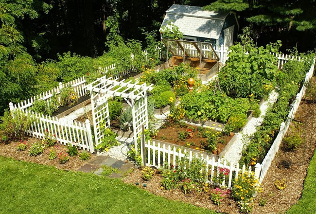 8 mẹo giúp khu vườn của bạn tươi tốt trong mùa xuân để đón chào những đợt thu hoạch mới - Ảnh 2.