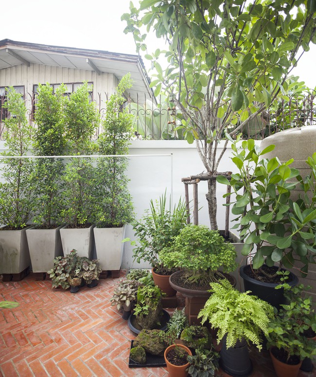Sau 15 năm bỏ hoang, ngôi nhà 300m² được cặp vợ chồng trẻ hồi sinh cực hiện đại lại có vườn bonsai đáng mơ ước ở ban công - Ảnh 8.