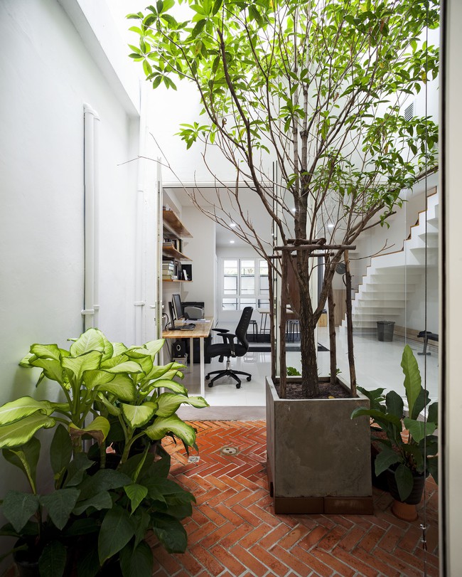 Sau 15 năm bỏ hoang, ngôi nhà 300m² được cặp vợ chồng trẻ hồi sinh cực hiện đại lại có vườn bonsai đáng mơ ước ở ban công - Ảnh 7.