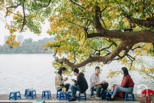 Hà Nội những ngày thay lá: Mùa xuân mang hương sắc mùa thu và tình ơi là tình - Ảnh 7.