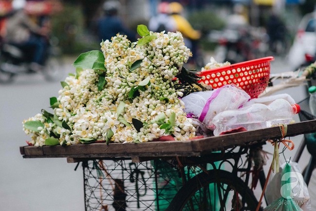 Hà Nội những ngày đầu xuân, bước chân ra phố là vấn vít mùi hoa bưởi thanh tao - Ảnh 1.