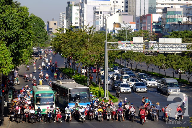 TP.HCM vào mùa nắng gay gắt, những bệnh sau đây đang chực chờ tấn công bạn bất cứ lúc nào - Ảnh 1.