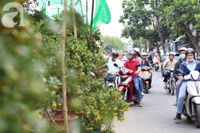 28 Tết, tiểu thương Bến Bình Đông lo lắng khi hoa đã nở rộ, sợ bán không hết khi vắng người mua - Ảnh 14.