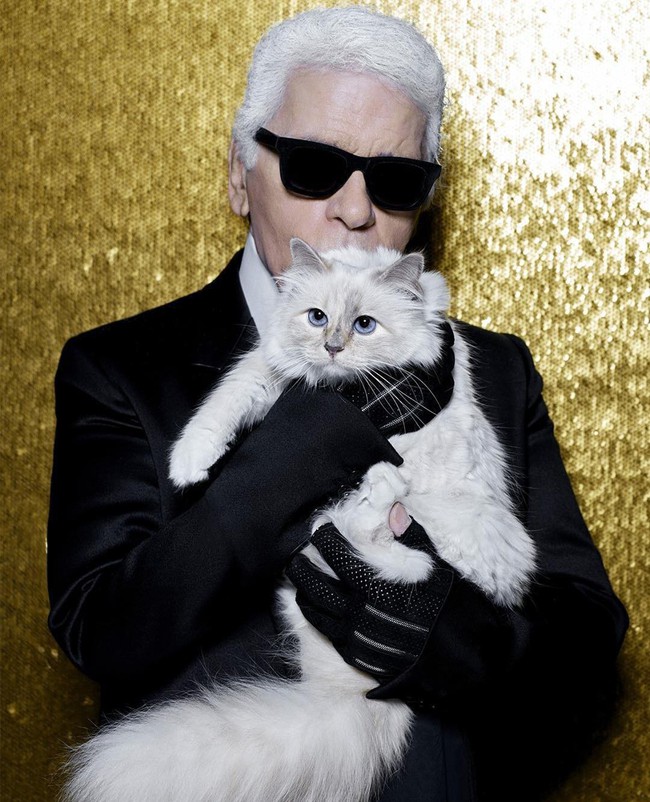 Nàng thơ bên Karl Lagerfeld: Choupette nàng thơ bên Karl Lagerfeld  - Ảnh 1.