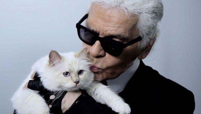 Nàng thơ bên Karl Lagerfeld: Choupette nàng thơ bên Karl Lagerfeld  - Ảnh 2.