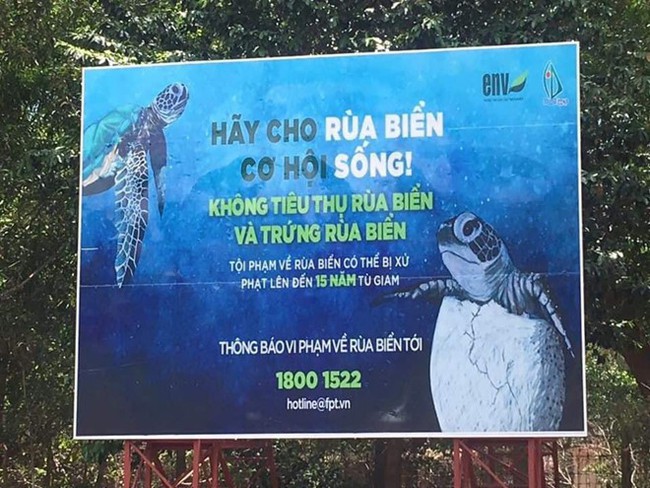 Cô gái bị tố mua trứng rùa biển rồi luộc ăn, không quên khoe trên Instagram khi du lịch Côn Đảo khiến nhiều người phẫn nộ - Ảnh 6. Cô gái bị tố mua trứng rùa biển rồi luộc ăn, không quên khoe trên Instagram khi du lịch Côn Đảo khiến nhiều người phẫn nộ - Ảnh 6.