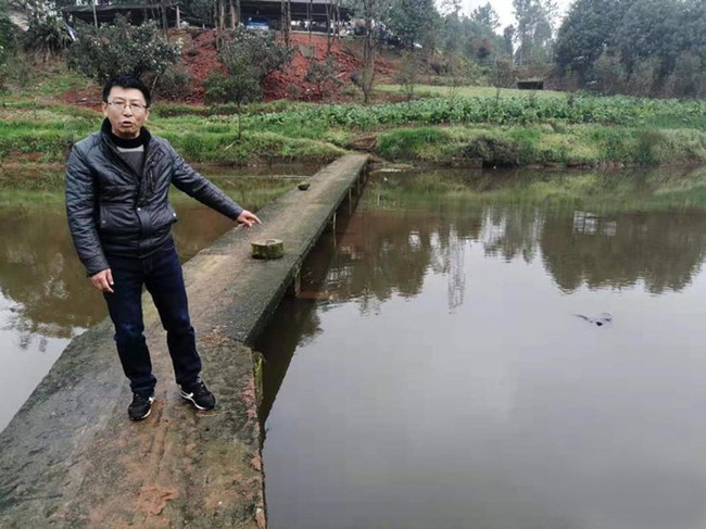 Cậu bé 5 tuổi chết đuối nổi trên mặt nước rồi mới được phát hiện, bác sĩ buông xuôi vì thấy tim ngừng đập nhưng 2 tiếng sau điều bất ngờ xảy ra - Ảnh 2. Cậu bé 5 tuổi chết đuối nổi trên mặt nước rồi mới được phát hiện, bác sĩ buông xuôi vì thấy tim ngừng đập nhưng 2 tiếng sau điều bất ngờ xảy ra - Ảnh 2.