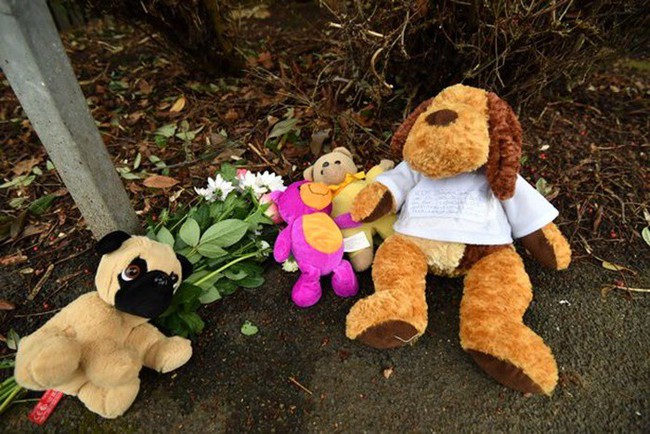 Đám tang ngập tràn hoa và gấu bông, có cả xe cảnh sát hộ tống, phía sau đó là một câu chuyện đau lòng của 4 đứa trẻ cùng chung một số phận - Ảnh 2.