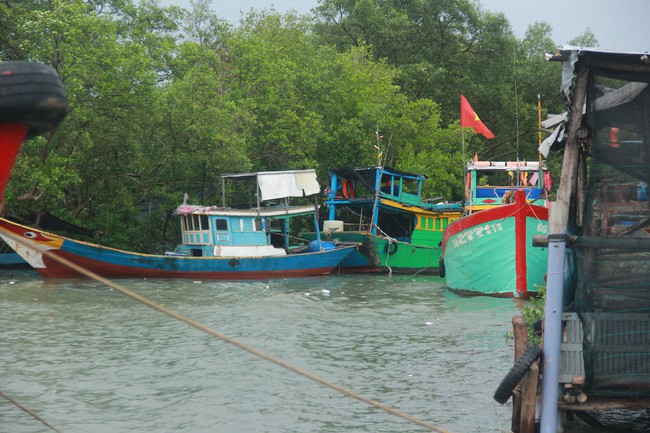 TP.HCM: Chìm tàu hút trên sông Gò Gia khiến 4 người gặp nạn, thuyền trưởng bị mất tích - Ảnh 1.