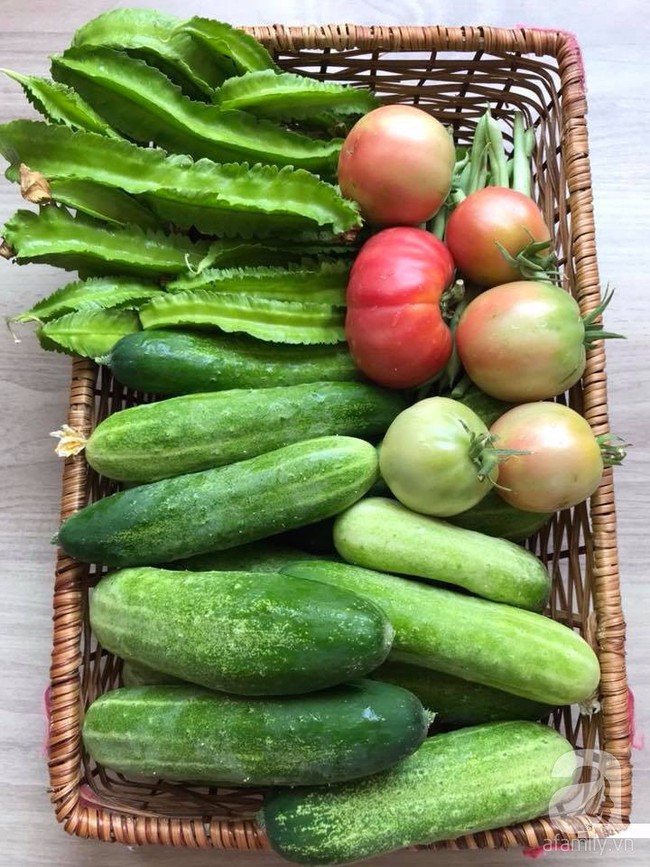 Khu vườn xanh mướt một màu như trang trại rau quả sạch mini của mẹ đảm ở Sài Gòn - Ảnh 14.