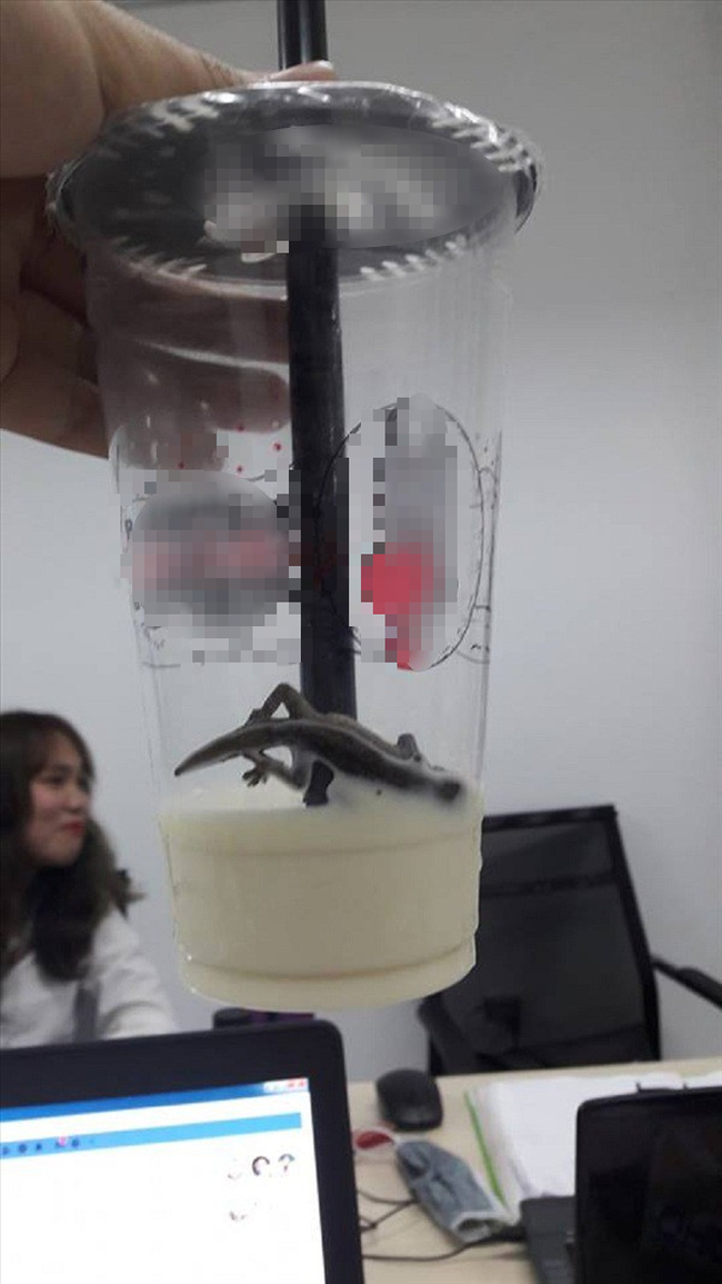 Hà Nội: Khách hàng hãi hùng tố có thạch sùng trong cốc trà sữa - Ảnh 1. Hà Nội: Khách hàng hãi hùng tố có thạch sùng trong cốc trà sữa - Ảnh 1.