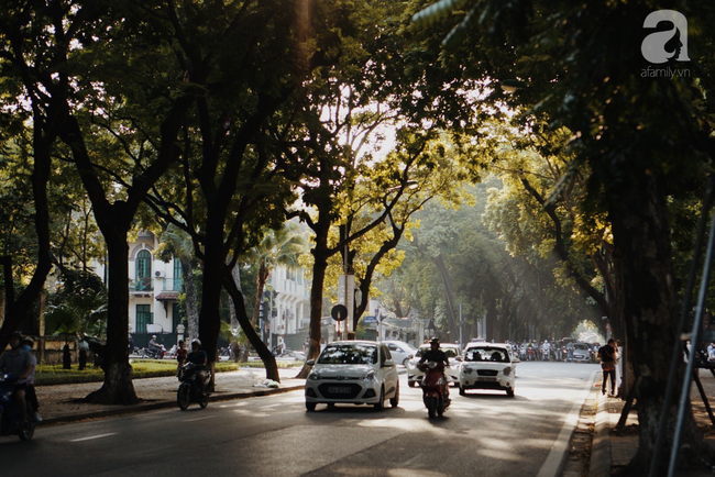 Hà Nội những hôm rét nàng Bân, bỗng bâng khuâng thèm những ngày hanh hao đầy nắng ấm - Ảnh 1. Hà Nội những hôm rét nàng Bân, bỗng bâng khuâng thèm những ngày hanh hao đầy nắng ấm - Ảnh 1.