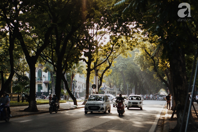 Hà Nội những hôm rét nàng Bân, bỗng bâng khuâng thèm những ngày hanh hao đầy nắng ấm - Ảnh 1.