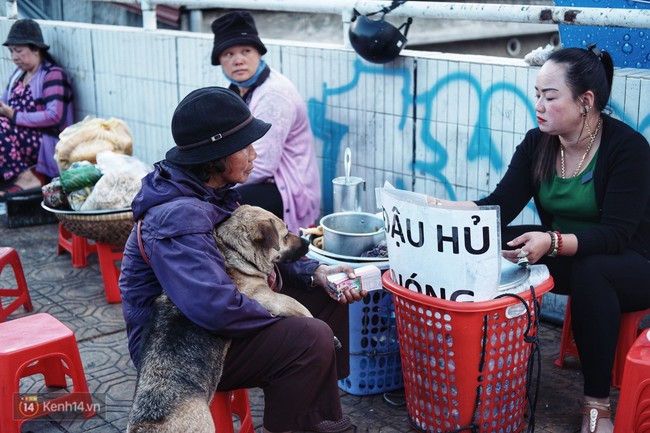 Câu chuyện đáng yêu của người phụ nữ bán vé số và chú chó lang thang ở Đà Lạt - Ảnh 6.