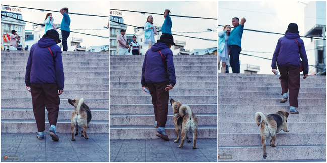 Câu chuyện đáng yêu của người phụ nữ bán vé số và chú chó lang thang ở Đà Lạt - Ảnh 8.