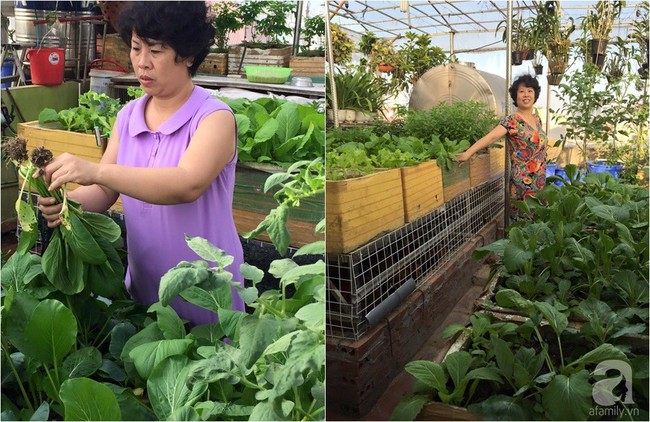 Khu vườn đủ loại rau xanh, trái ngọt không khác gì một trang trại thu nhỏ trên sân thượng của bà mẹ hai con ở Hải Phòng - Ảnh 2.