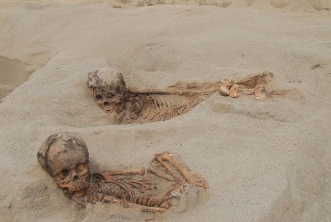 Khai quật khu hiến tế trẻ em lớn nhất lịch sử: Hàng trăm bộ xương lộ ra, đã bị lấy mất nội tạng - Ảnh 1.