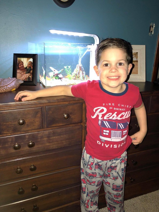 Mang cá vàng cưng lên giường ngủ cùng, bé trai 4 tuổi băn khoăn không hiểu tại sao nó chết - Ảnh 4.