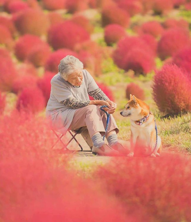 Bộ ảnh đầy cảm xúc của cụ bà Nhật Bản và chú cún con: Khi về già, chỉ cần một người đồng hành đáng yêu thế này thôi! - Ảnh 5.