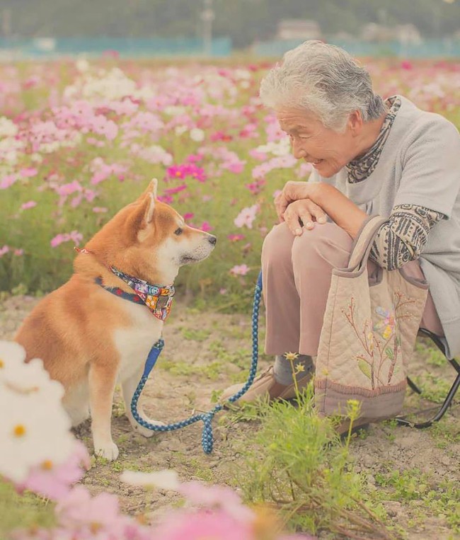Bộ ảnh đầy cảm xúc của cụ bà Nhật Bản và chú cún con: Khi về già, chỉ cần một người đồng hành đáng yêu thế này thôi! - Ảnh 16.