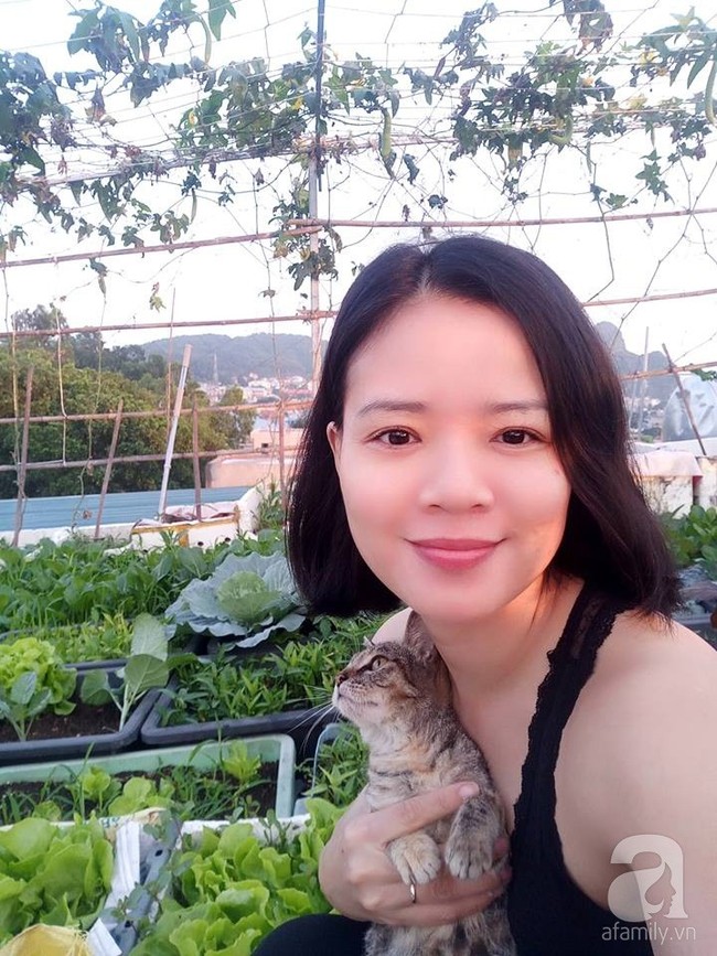 Mẹ đảm ở Quảng Ninh chia sẻ kinh nghiệm 10 năm trồng rau trên sân thượng rộng 75m²  - Ảnh 6.