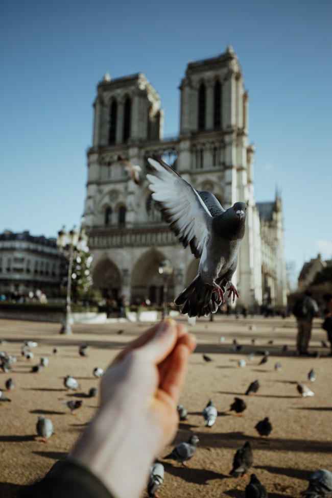 Trước khi sụp đổ một phần vì vụ cháy chấn động, Nhà thờ Đức Bà ở Paris từng là biểu tượng bình yên của cả nước Pháp - Ảnh 9.