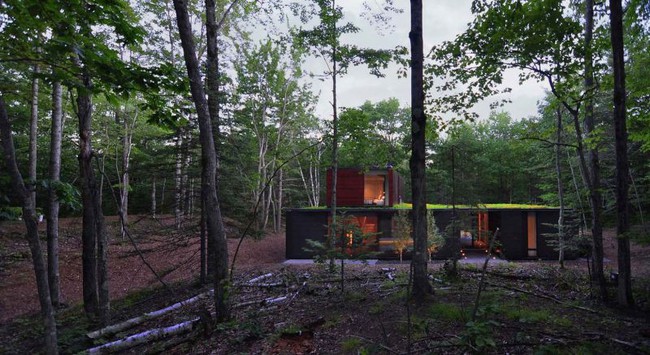 Ấn tượng với ngôi nhà bằng gỗ và kính của cặp vợ chồng thiết kế đồ họa - Ảnh 11.