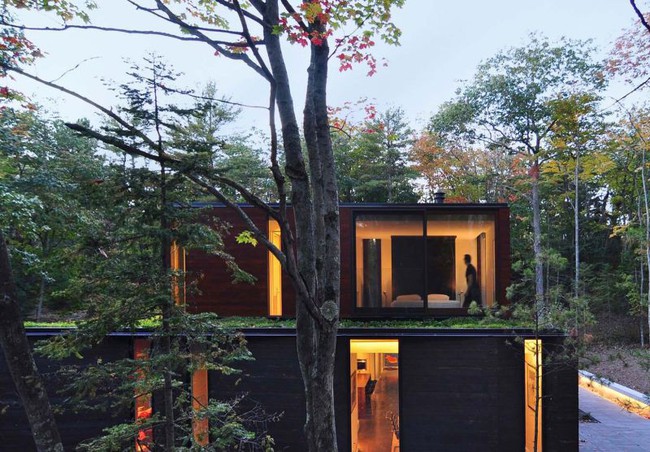 Ấn tượng với ngôi nhà bằng gỗ và kính của cặp vợ chồng thiết kế đồ họa - Ảnh 3.