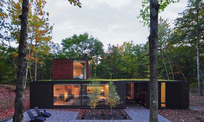 Ấn tượng với ngôi nhà bằng gỗ và kính của cặp vợ chồng thiết kế đồ họa - Ảnh 4.