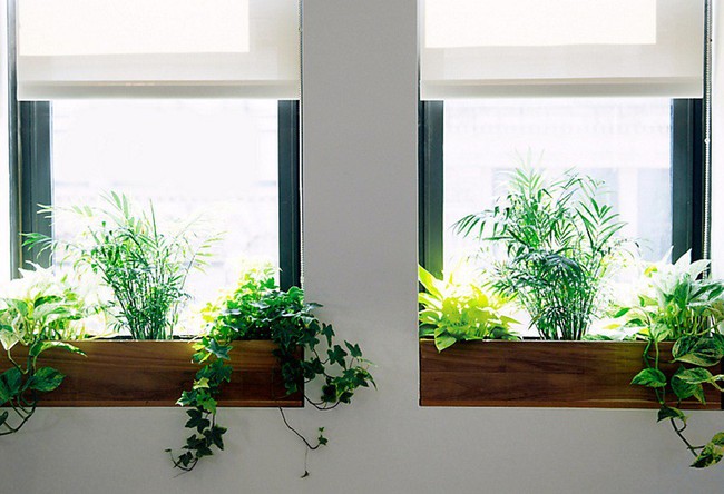 7 cách làm đẹp hữu hiệu cho cửa sổ nhà bạn - Ảnh 7.