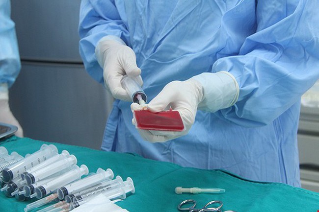 Hơn 750 ca ghép tế bào gốc điều trị bệnh máu thành công cho người bệnh đã được thực hiện - Ảnh 1.
